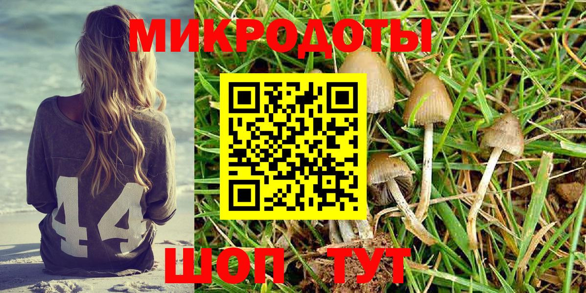 Псилоцибиновые грибы ЛСД Орехово-Зуево
