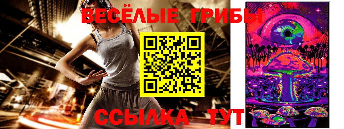 Псилоцибиновые грибы Cubensis  Галлюциногенные грибы Psilocybine cubensis  Орехово-Зуево  Вход с VPN 